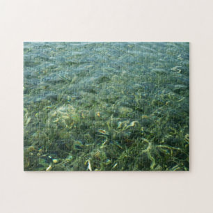 Wasser über Meeresgras I Karibik Puzzle