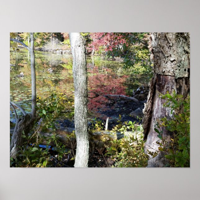 Wasser und Bäume Poster (Vorne)