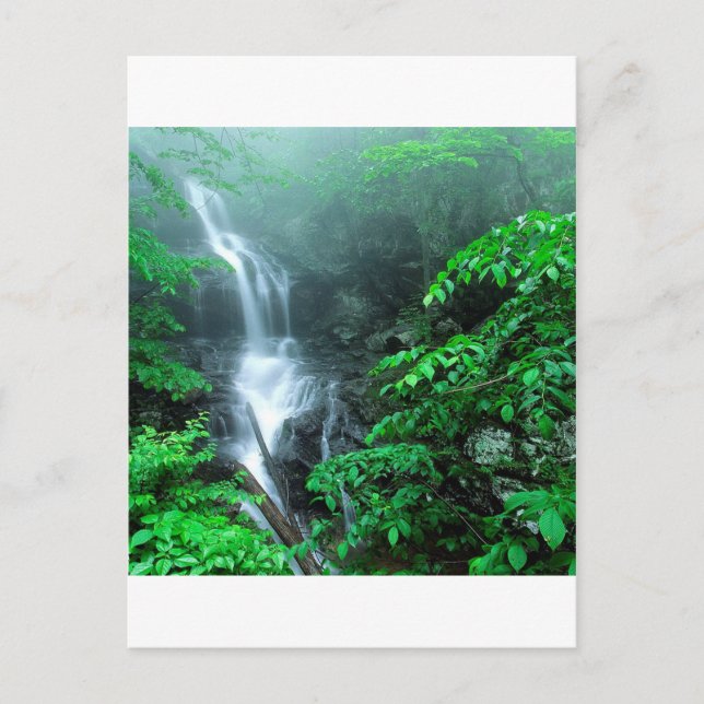 Wasser Untere Doyles River Falls Shenandoah Postkarte (Vorderseite)