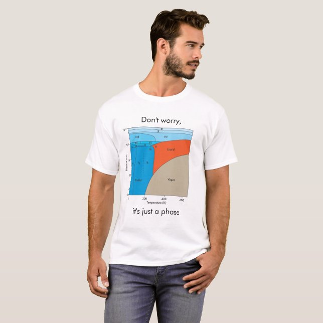 Wasser-Zustandsdiagramm-T - Shirt (Vorne ganz)
