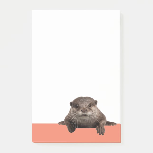 Wasserabfälle - Niedlicher Otter Post-it Klebezettel (Vorderseite)