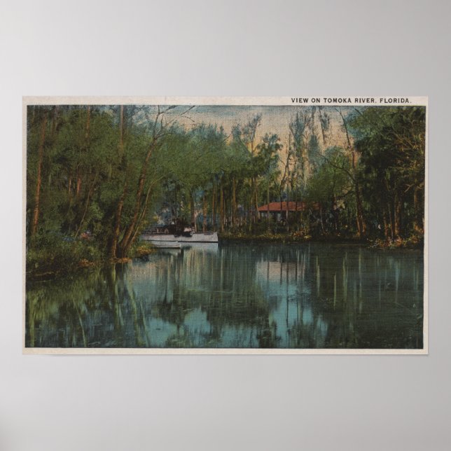 Wasseransicht Tomoka River & Marsh, Florida Poster (Vorne)