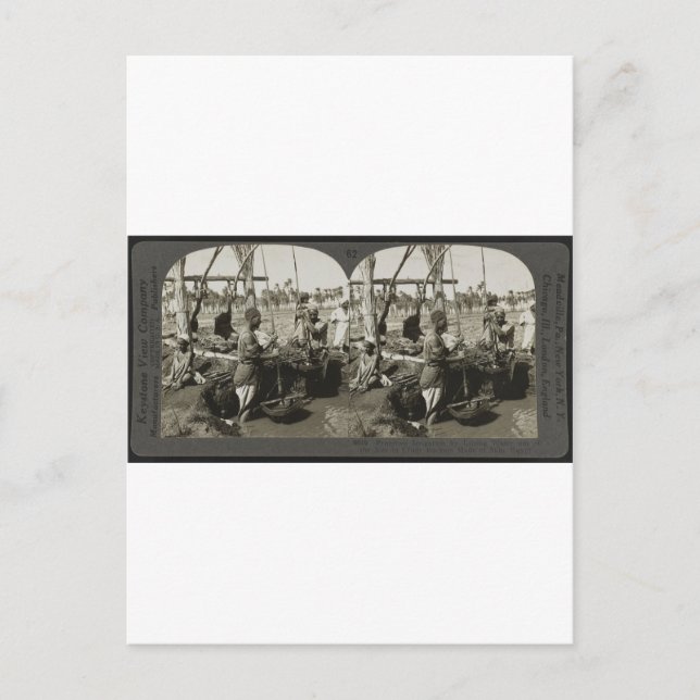 Wasseraufbereitung aus dem Nil in Ägypten um 1928 Postkarte (Vorderseite)