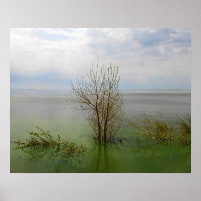 Wasserbild Poster (Vorne)