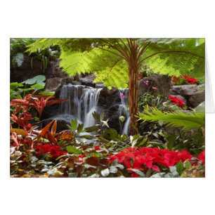 Wasserfall