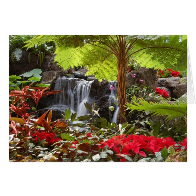 Wasserfall (Vorderseite (Horizontal))