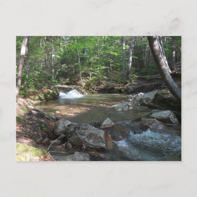 Wasserfall am Fluss Pemigewasset I Postkarte (Vorderseite)