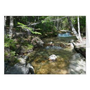 Wasserfall am Fluss Pemigewasset III