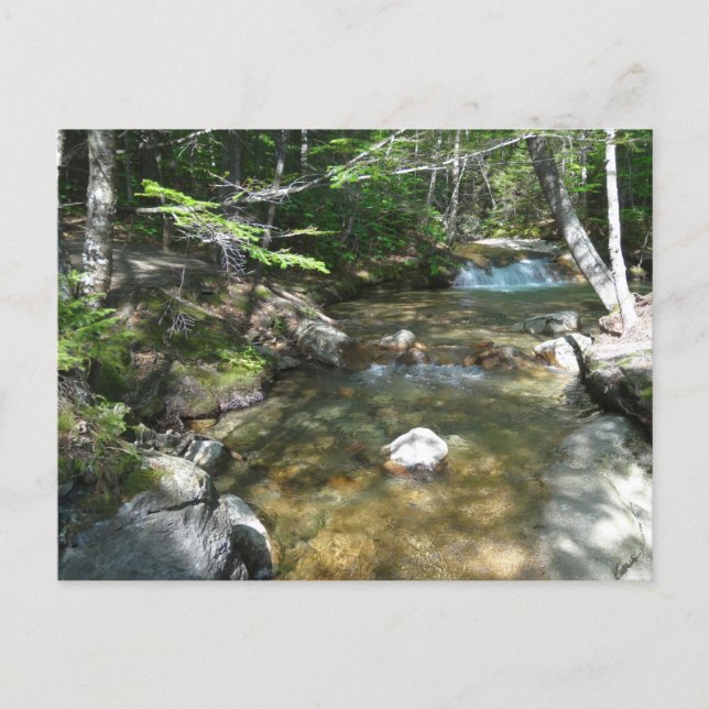 Wasserfall am Fluss Pemigewasset III Postkarte (Vorderseite)