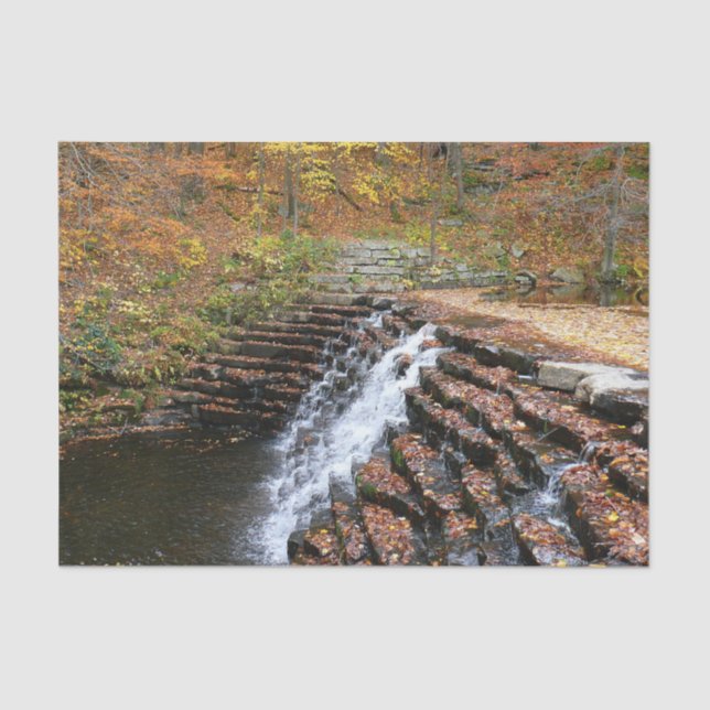 Wasserfall am Laurel Hill Staat Park II Seidenpapier (Vorderseite)