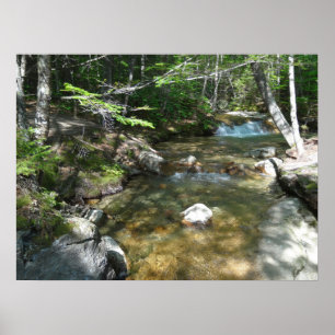 Wasserfall am Pemigewasset River III Poster