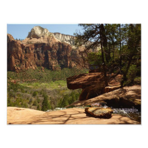 Wasserfall an den Emerald Pools im Zion National P Fotodruck
