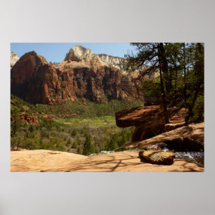 Wasserfall an den Emerald Pools im Zion National P Poster