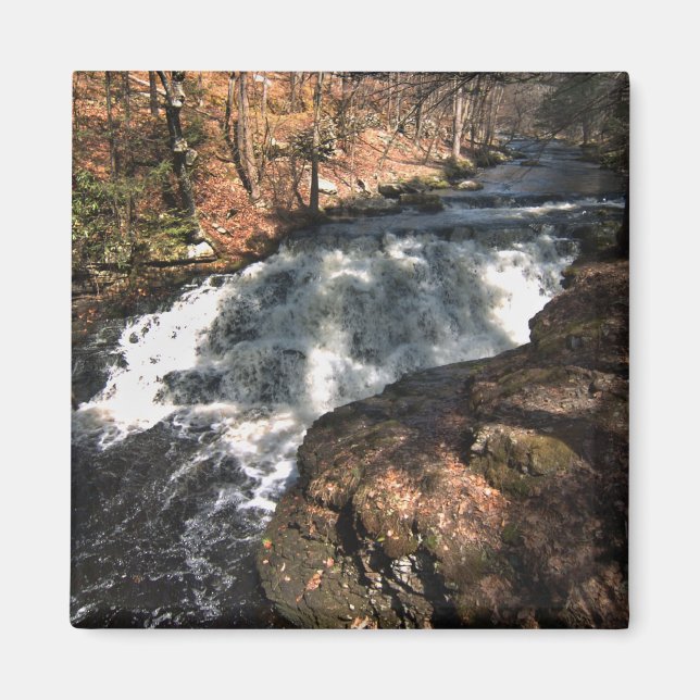Wasserfall - Bushkill Falls Magnet (Vorne)