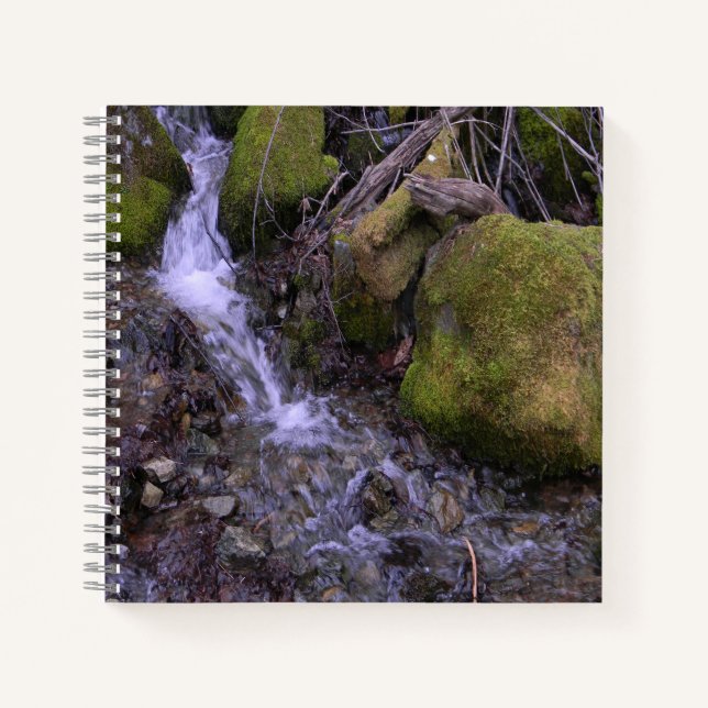 Wasserfall der Fee...... Notizbuch (Vorderseite)