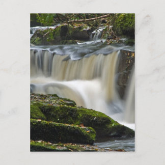 Wasserfall der Muscheln Postkarte