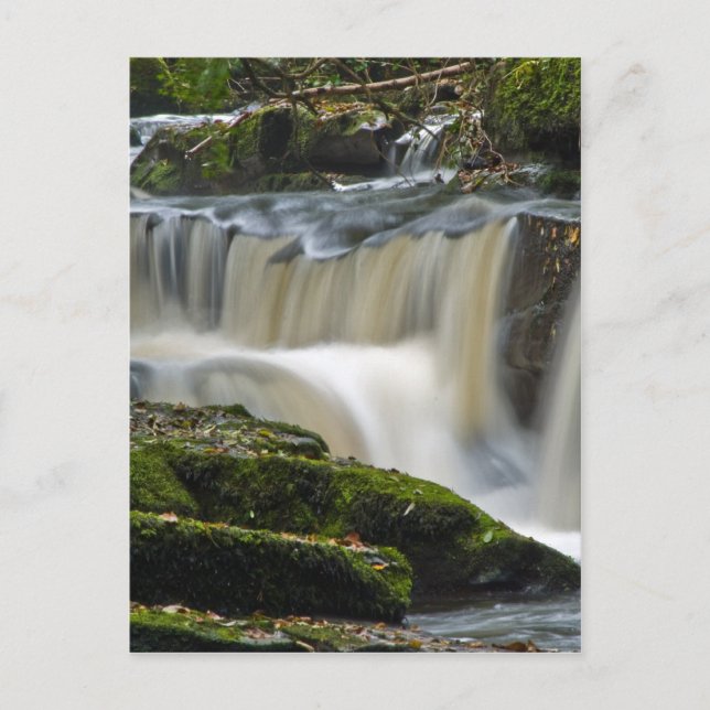 Wasserfall der Muscheln Postkarte (Vorderseite)