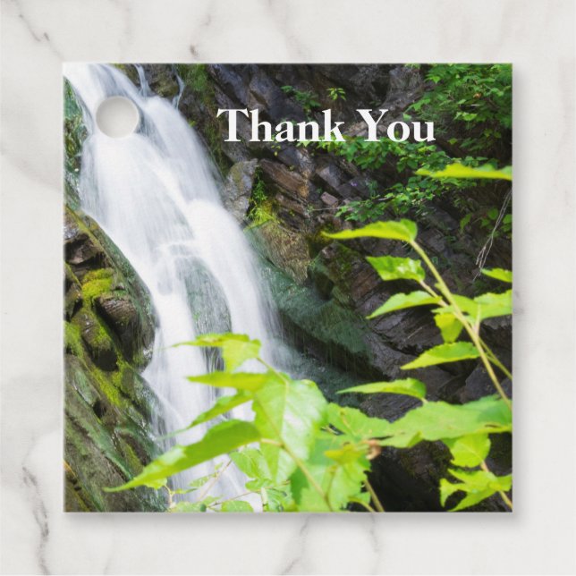 Wasserfall des Hell's Gate Canyon Geschenkanhänger (Vorderseite)