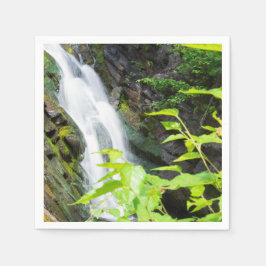 Wasserfall des Hell's Gate Canyon Serviette