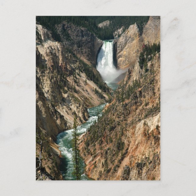 Wasserfall des Yellowstone Postkarte (Vorderseite)