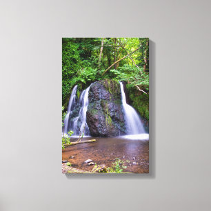 Wasserfall Fairy Glen, Rosemarkie, Canvas print Leinwanddruck