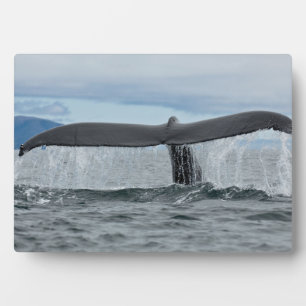 Wasserfall Fotoplatte