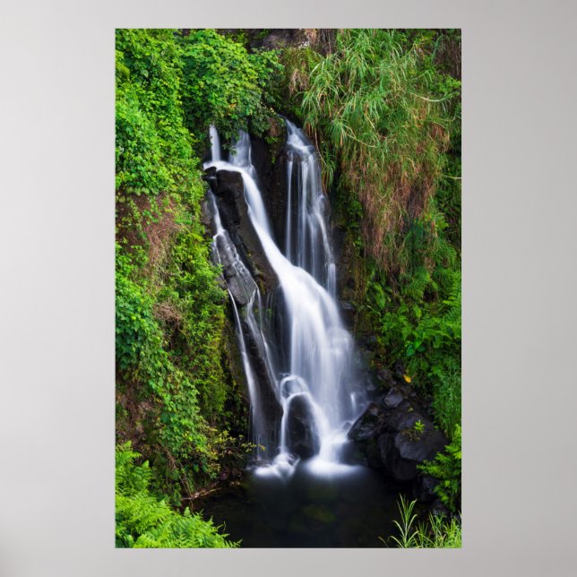 Wasserfall, Hamakua Küste, Hawaii Poster (Vorne)