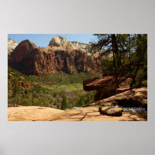 Wasserfall im Emerald Pools im Zion Nationalpark Poster