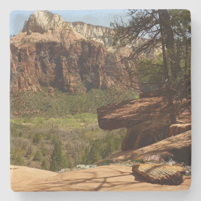 Wasserfall im Emerald Pools im Zion Nationalpark Steinuntersetzer (Vorderseite)