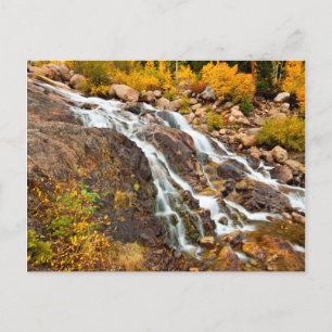 Wasserfall im Grand Teton Nationalpark Postkarte