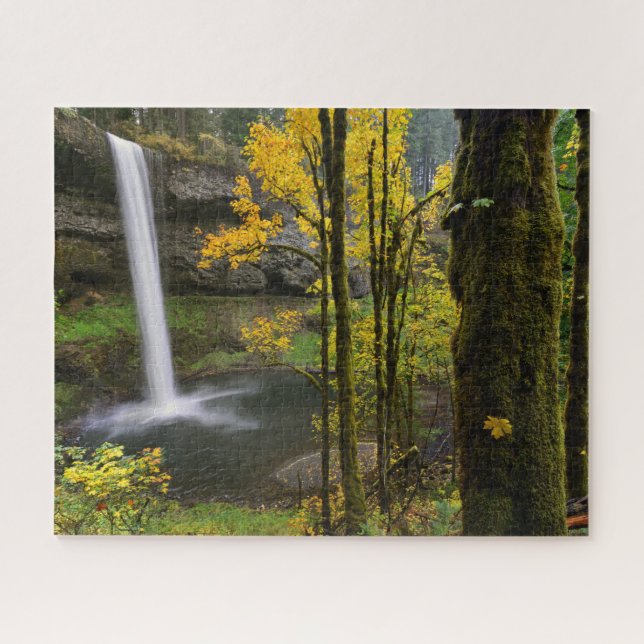 Wasserfall im Herbst im Silver Falls Staat Park Puzzle (Horizontal)