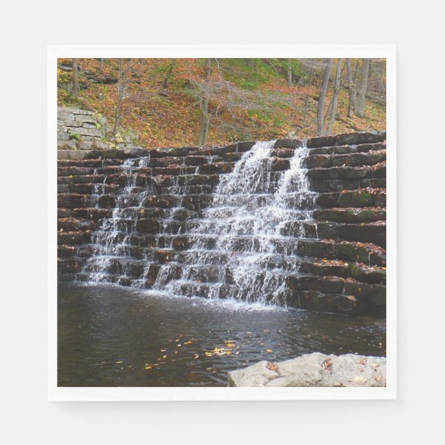 Wasserfall im Laurel Hill Staat Park I Serviette (Vorderseite)