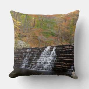 Wasserfall im Laurel Hill State Park I Kissen