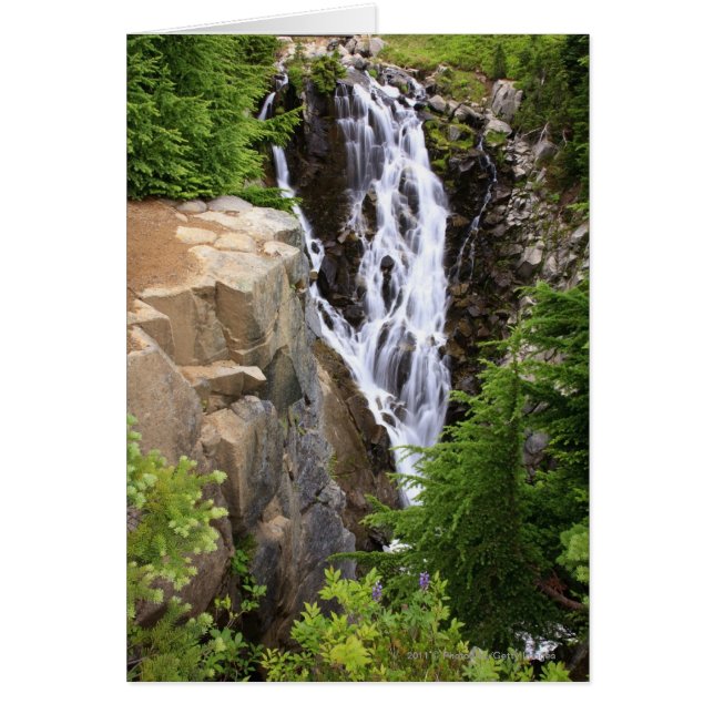 Wasserfall im Nationalpark Rainier (Vorne)