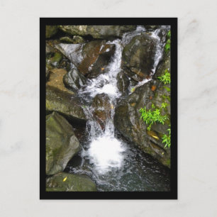 Wasserfall im Nationalwald El Yunque Postkarte