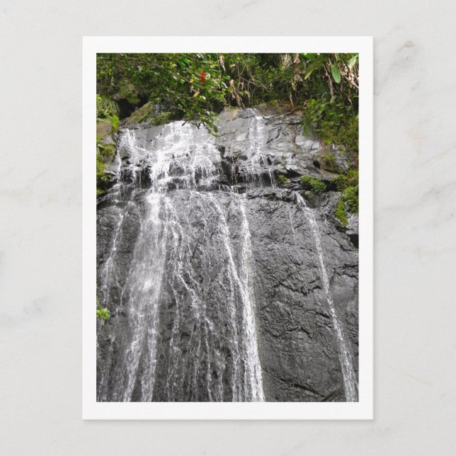 Wasserfall im Nationalwald El Yunque Postkarte (Vorderseite)