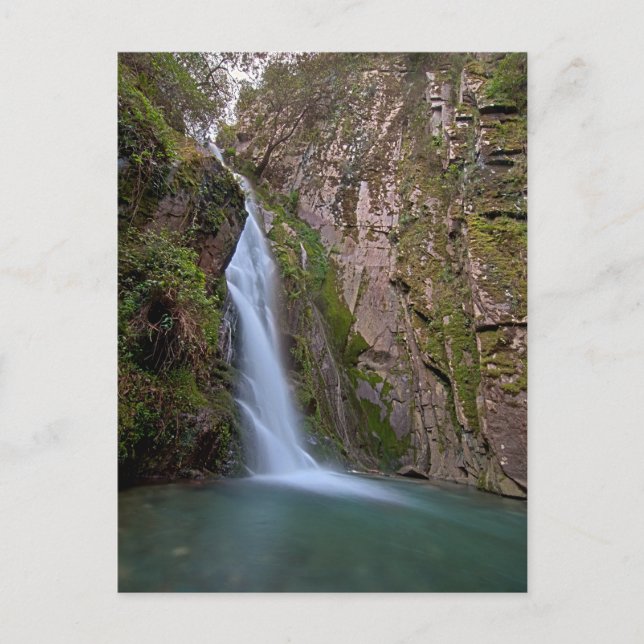 Wasserfall im tiefen Wald Postkarte (Vorderseite)