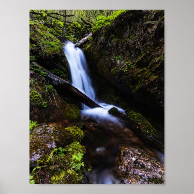 Wasserfall im verzauberten Wald Poster (Vorne)