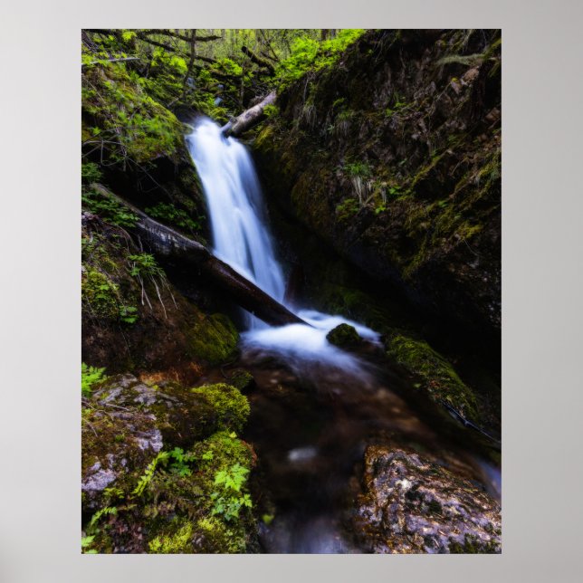 Wasserfall im verzauberten Wald Poster (Vorne)