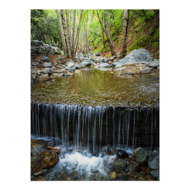 Wasserfall im Wald - Gebirgsbach-Druck Poster (Vorderseite)