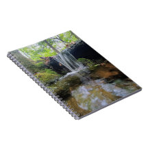 Wasserfall im Wald