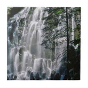 Wasserfall im Wald, Oregon Fliese