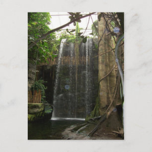 Wasserfall im Zoo Postkarte
