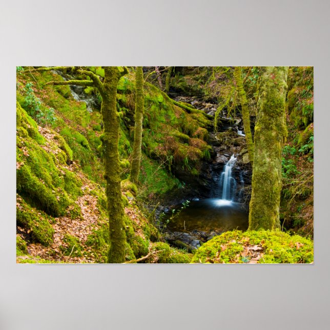 Wasserfall in Argyll, Schottland Poster (Vorne)