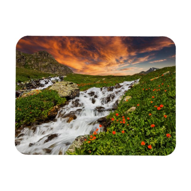 Wasserfall in den Bergen mit Blume Magnet (Horizontal)