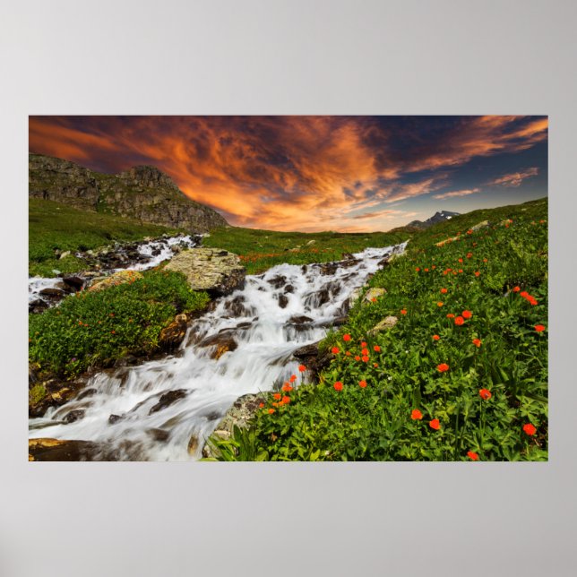 Wasserfall in den Bergen mit Blume Poster (Vorne)