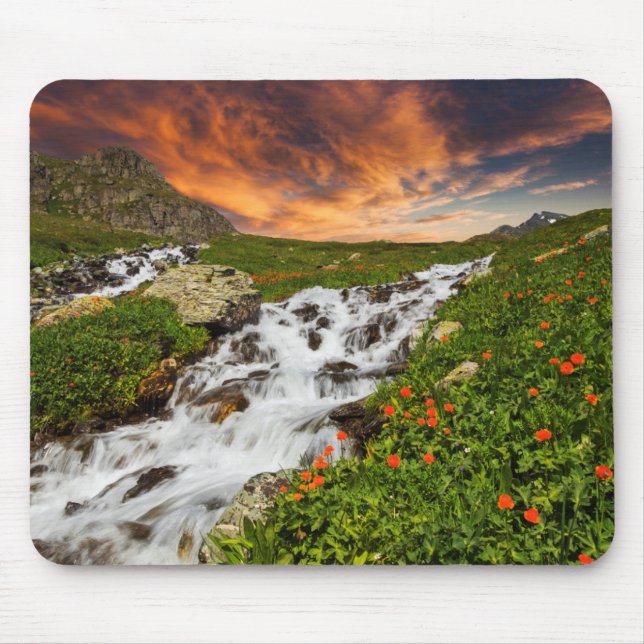 Wasserfall in den Bergen mit Blumen Mousepad (Vorne)