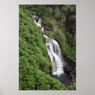 Wasserfall in der Nähe von Hilo, Hawaii Poster