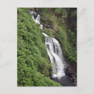Wasserfall in der Nähe von Hilo, Hawaii Postkarte