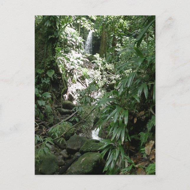 Wasserfall in Dominica Postkarte (Vorderseite)
